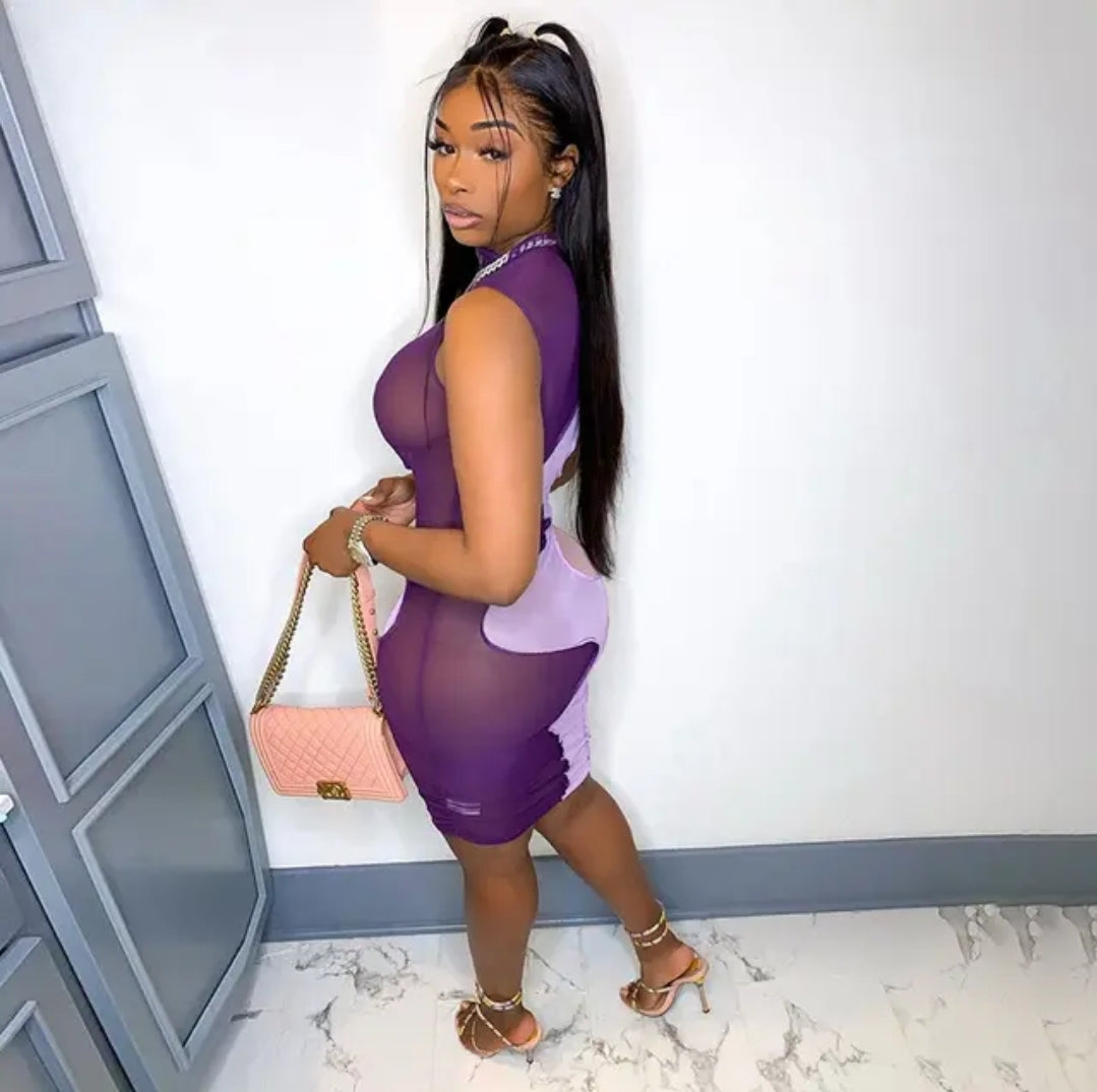 Mesh Me Out Peek a Boo Dress