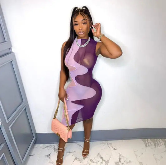 Mesh Me Out Peek a Boo Dress