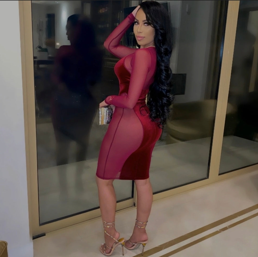 Cara Said Yes! Mesh Dress