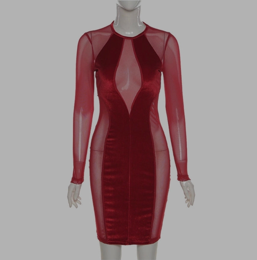 Cara Said Yes! Mesh Dress